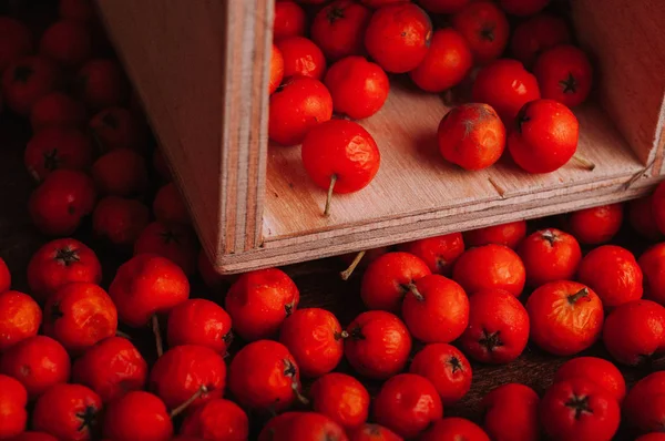 Kırmızı üvez meyveleri ve ahşap kutu, dağınık çilek