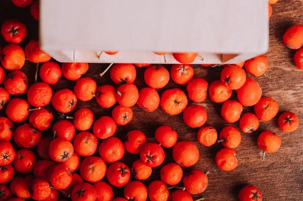 dağınık çilek, portakal üvez meyveleri