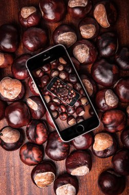 kahverengi at kestanesi ve cep telefonu 