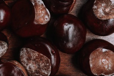 kahverengi at kestanesi masada, atış makro çekim kapatın