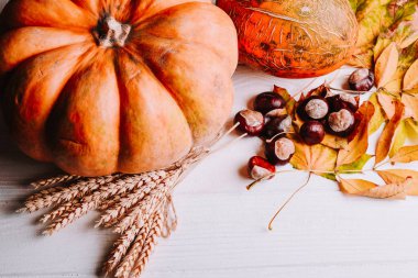 kabak, at kestanesi ve yaprakları ile tablo