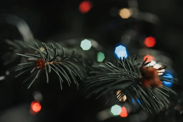 Zblízka Zelený Pichlavý Větve Vánočního Stromu Rozmazané Osvětlené Věnec Světel — Stock fotografie