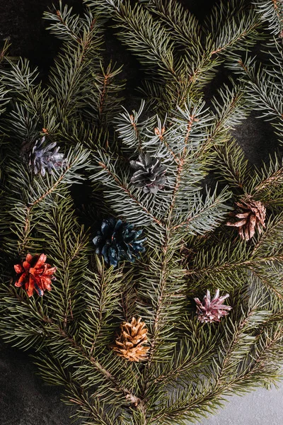 Stachelige Zweige Des Weihnachtsbaums Mit Bunt Bemalten Tannenzapfen — Stockfoto