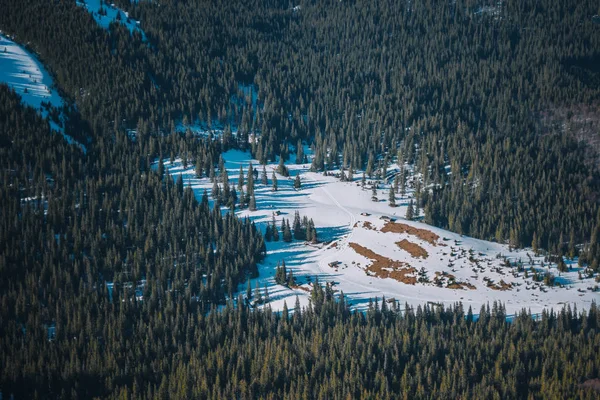 Montañas Cubiertas Nieve Con Abetos Bosque — Foto de Stock