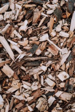 Ahşap talaşı yere yığılmış. 