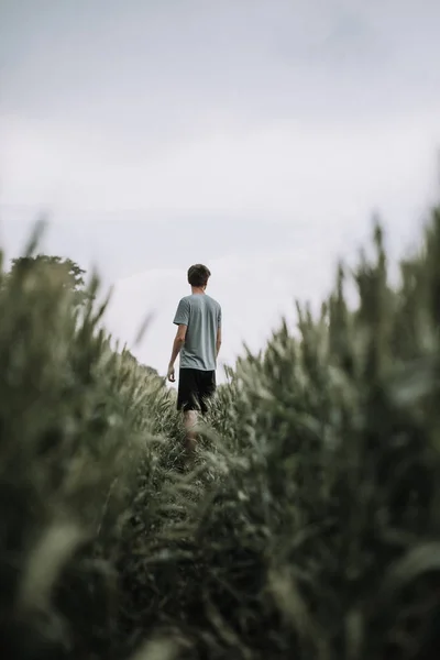 back view of man standing in countryside meadow wheat field