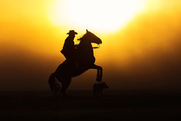 Ковбой Ставит Свою Лошадь Остаться Двух Ногах Закате Пылью Заднем — стоковое фото