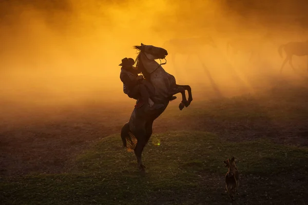 Cowboy Zetten Zijn Paard Verblijven Twee Pootjes Bij Zonsondergang Met — Stockfoto