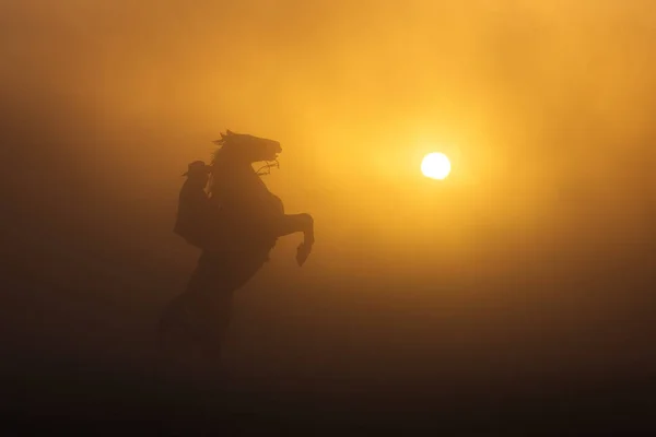 Ковбой Ставит Свою Лошадь Остаться Двух Ногах Закате Пылью Заднем — стоковое фото