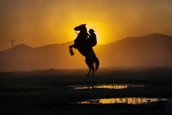 Cowboy Colocando Seu Cavalo Para Ficar Dois Pés Pôr Sol — Fotografia de Stock