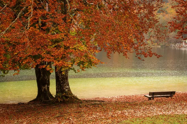 Schöne Herbstlandschaft mit bunten Blättern und Fluss — Stockfoto