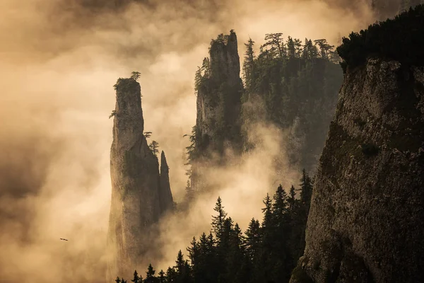 Beau paysage avec brouillard sur les sommets des montagnes et pour — Photo