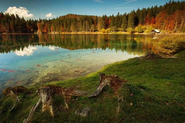 Schöne Herbstlandschaft mit bunten Blättern und Fluss am See — Stockfoto
