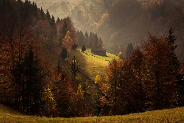 Schöne Landschaft in der Herbstsaison mit erstaunlichen Farben. simon, — Stockfoto