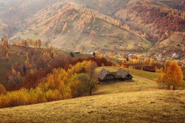 Güzel manzara muhteşem renkleri ile sonbahar sezonu. Simon, Brasov. Tansylvania - Romanya.