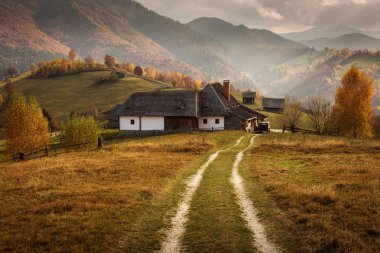 Güzel manzara muhteşem renkleri ile sonbahar sezonu. Simon, Brasov. Tansylvania - Romanya.