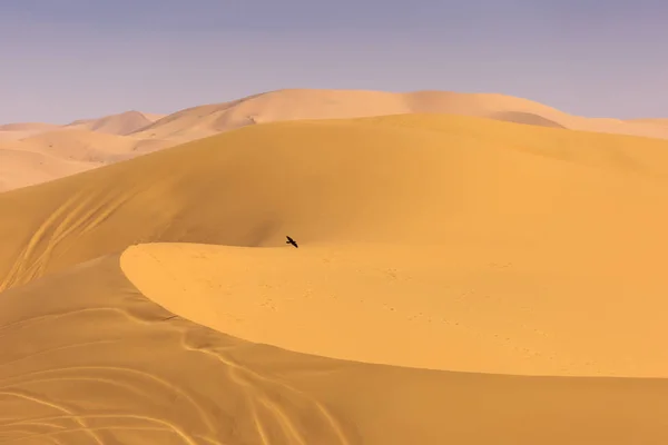 Merzouga Morocco Sahara Çöl Dunes Çöl Ile Arka Planda Gökyüzü — Stok fotoğraf