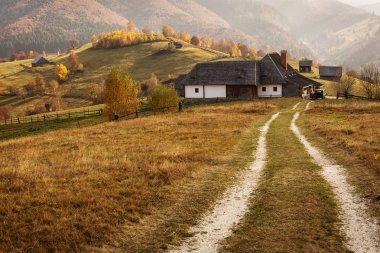 Güzel manzara muhteşem renkleri ile sonbahar sezonu. Simon, Brasov. Tansylvania - Romanya.
