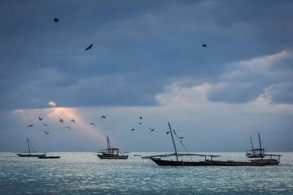 Fishing boats in ocean with birds and storm clouds in background. Zanzibar, Tanzania.