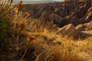 İnanılmaz oluşumları ve vadileri ile Kapadokya'nın güzel manzara