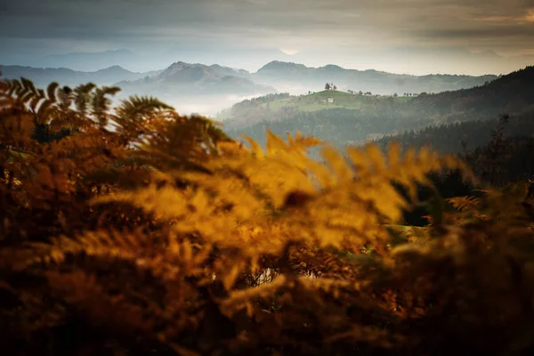 Hermoso Paisaje Con Iglesia Santo Tomaz Eslovenia Con Niebla Montañas — Foto de Stock