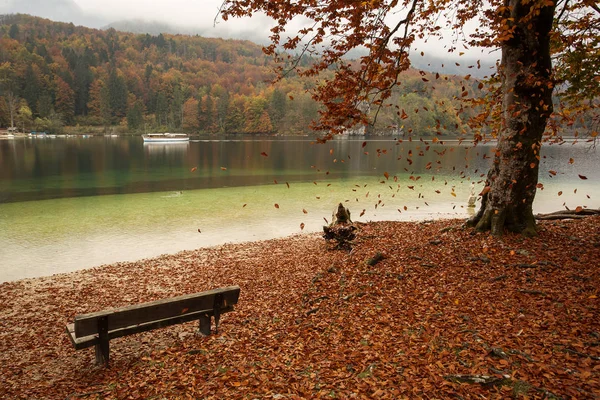 Krásné Podzimní Krajina Barevné Lístečky Řeka — Stock fotografie