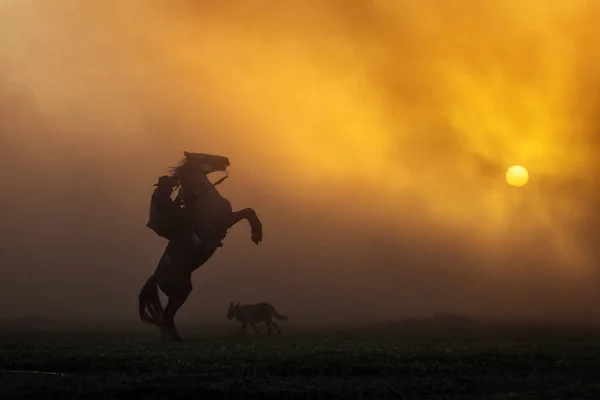 牛仔把他的马留在两个英尺在日落与灰尘背景 — 图库照片