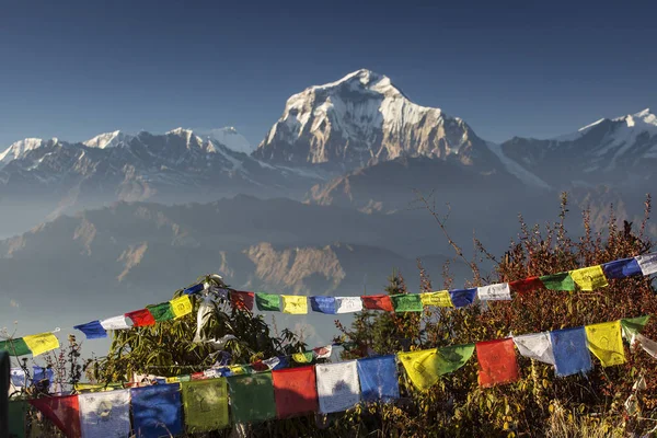 Himalaya Dağı, Nepal 'de günbatımında Dhaulagiri zirvesi olan Bhuddizm bayrakları.