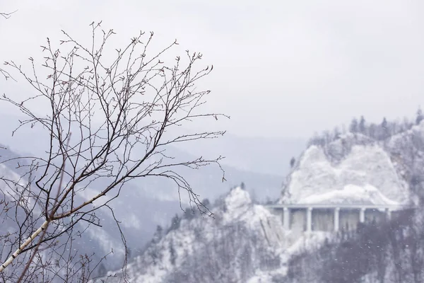 Bridge Buzau River Winter Season Romania — Stock Photo, Image