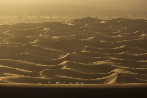 沙漠撒哈拉沙漠与美丽的线条和颜色在日出 摩洛哥梅尔祖加 — 图库照片