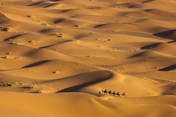 Kameler Husvagn Dessert Sahara Med Vackra Sanddyner Bakgrunden Marocko — Stockfoto