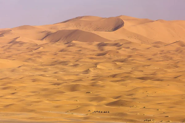 Woestijn Sahara Met Mooie Lijnen Kleuren Bij Zonsopgang Merzouga Marokko — Stockfoto