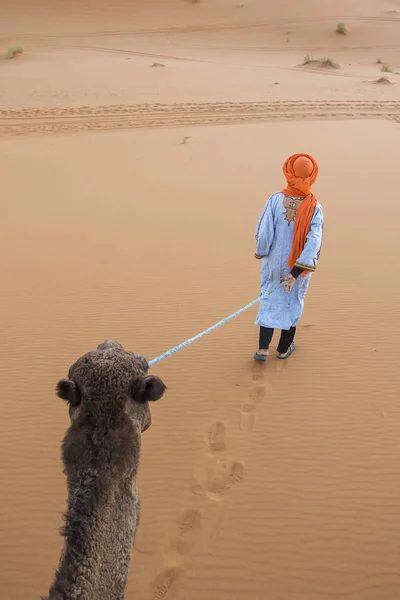 柏柏尔带着他的骆驼在撒哈拉沙漠撒哈拉沙漠 摩洛哥 从上面看 — 图库照片