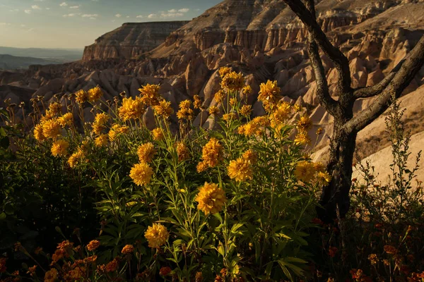 Красивый Пейзаж Каппадокии Удивительными Образованиями Долинами — стоковое фото