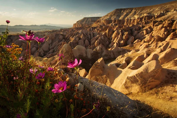 Beautiful Landscape Cappadocia Amazing Formations Valleys — Stock Photo, Image
