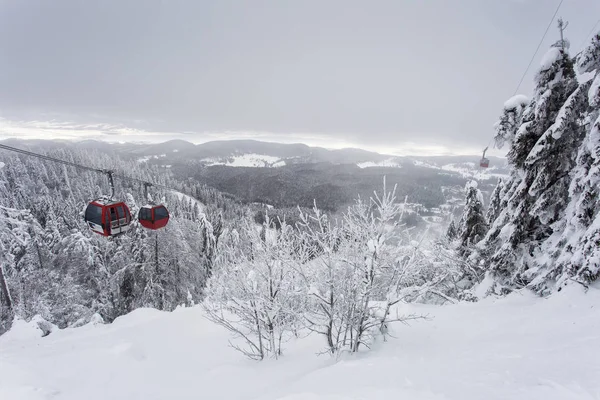 ポイアナ ブラショフ ルーマニアで晴れた冬の日に青い澄んだ空の下 坂の中の風景 氷木や雪のモンスター のビューとポイアナ ブラショフ ルーマニアの冬 スキー リゾートのゲレンデの上を飛んで風光明媚なケーブルカー — ストック写真