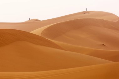 Sahara çöl güzel çizgiler ve renkler ile güneş doğarken. Merzouga, Fas