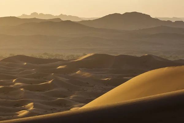 Wüste Sahara Mit Schönen Linien Und Farben Bei Sonnenaufgang Merzouga — Stockfoto