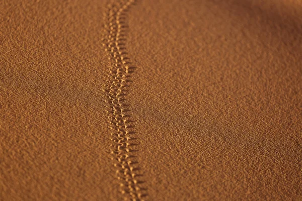 Rastros Insecto Las Arenas Del Sahara Del Desierto Con Hermosas — Foto de Stock