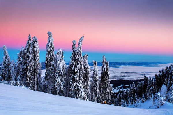 Salida Del Sol Sobre Las Montañas Llenas Nieve Invierno Poiana —  Fotos de Stock