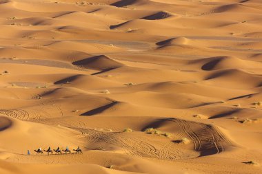 Arka planda güzel kumulları ile deve karavan Sahara tatlı olarak. Fas