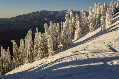 Kış zamanında gündoğumu firs kar tam ile dağların üzerinden. Poiana Brasov, Romanya. Transilvanya.