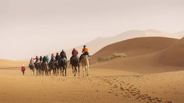 Camellos Caravana Postre Del Sahara Con Hermosas Dunas Fondo Marruecos —  Fotos de Stock
