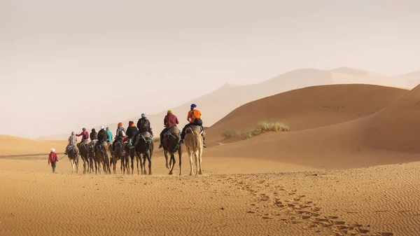 Caravana Camelos Sobremesa Saara Com Belas Dunas Fundo Marrocos — Fotografia de Stock