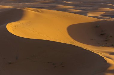 Sahara çöl güzel çizgiler ve renkler ile güneş doğarken. Merzouga, Fas