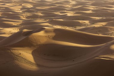 Sahara çöl güzel çizgiler ve renkler ile güneş doğarken. Merzouga, Fas