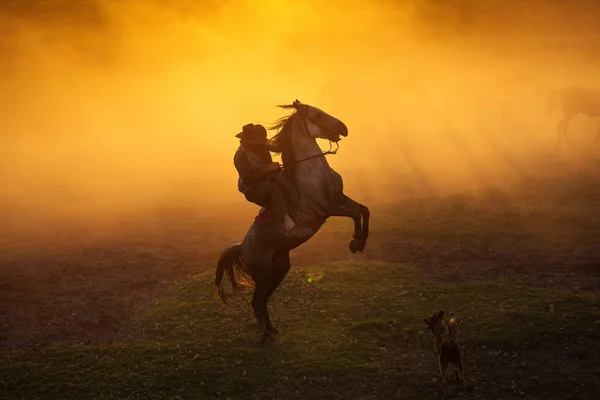 Kovboj Uvedení Svého Koně Zůstat Dvou Stopy Při Západu Slunce — Stock fotografie