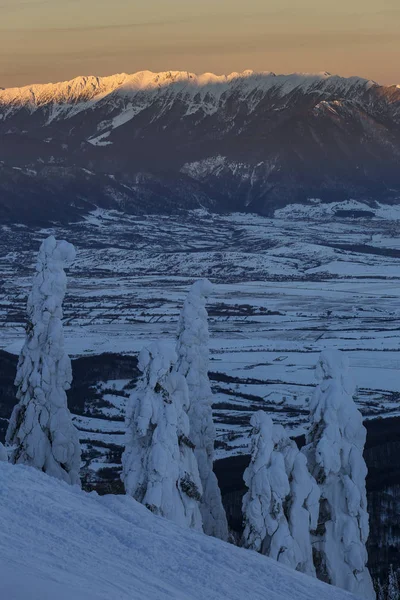 Zonsopgang Boven Bergen Vol Met Sneeuw Winter Poiana Brasov Roemenië — Stockfoto