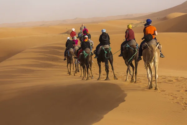 Camels karawana na deser Sahary z pięknymi wydmami w — Zdjęcie stockowe