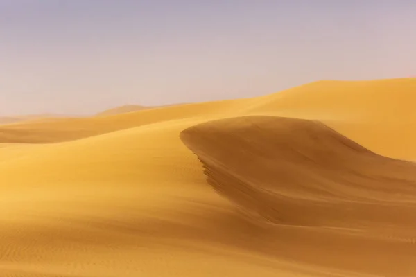 Sahara del desierto con hermosas líneas y colores al amanecer. Merzou. —  Fotos de Stock